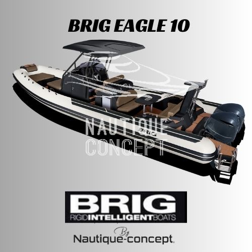 Brig Eagle 10